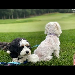 Meet your Posher, Leah